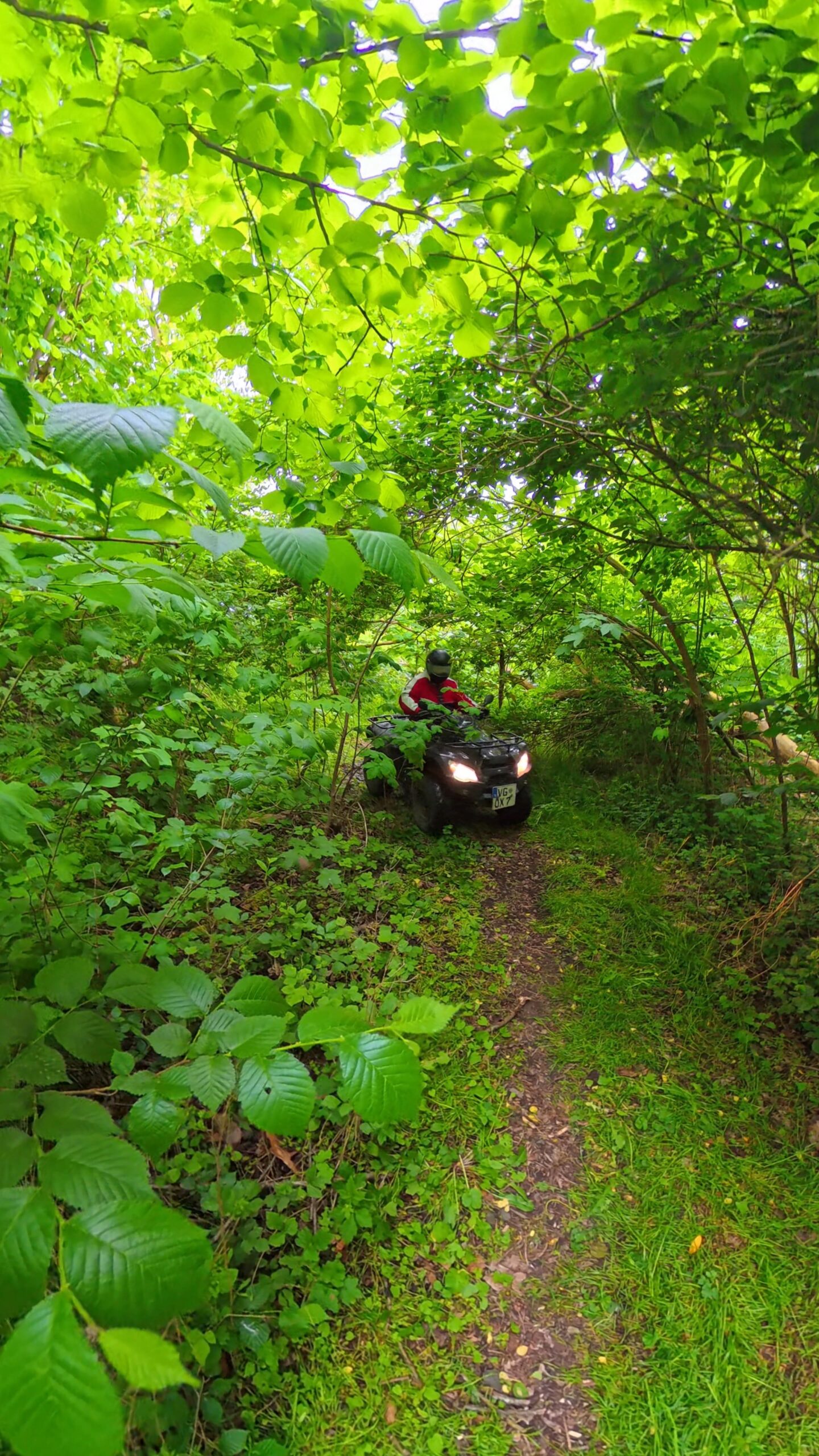 Quad Safari Usedom – Individual Tour
